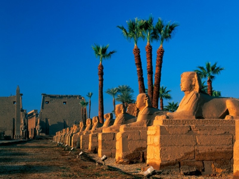 325654366_Avenue of the Sphinxes at Luxor