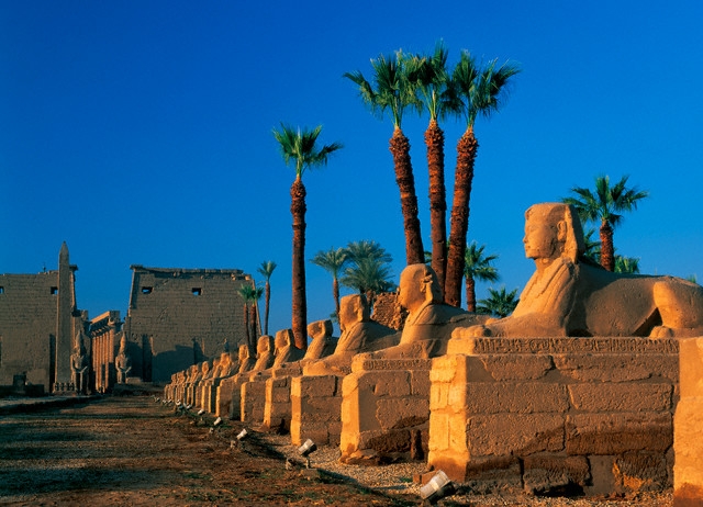 325654366_Avenue of the Sphinxes at Luxor