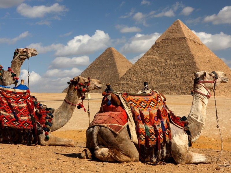 487748543_Giza_Camel_Ride3-800x600