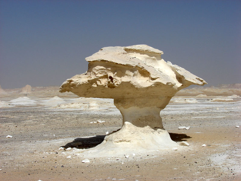 800_White_desert_05