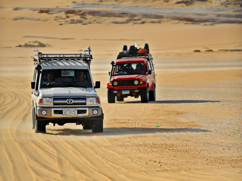 safari_,_siwa_oasis